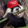 Panda Groyper 的头像