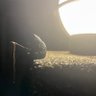 mancer profil fotoğrafı