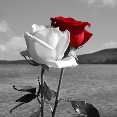 1177jwjw's profile picture