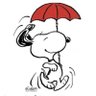 madison08's profile picture