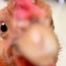 Shengyuze profil fotoğrafı