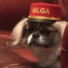 Patience's profile picture