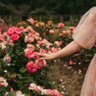 بائعة الورد profil fotoğrafı
