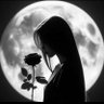 moonlit_sajid 的头像
