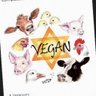 Wildlife Allotment Ⓥ's profile picture