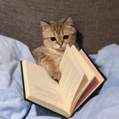 tomvjerryy's profile picture