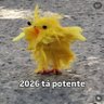 Bita do barão's profile picture