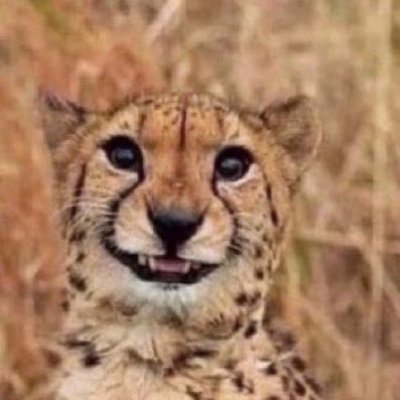 2Part's profile picture