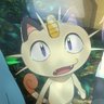 Фото профиля Meowth_King 🏴🇨🇦