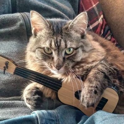Poaster Fluffhead's profile picture