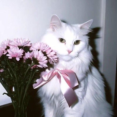 è.'s profile picture