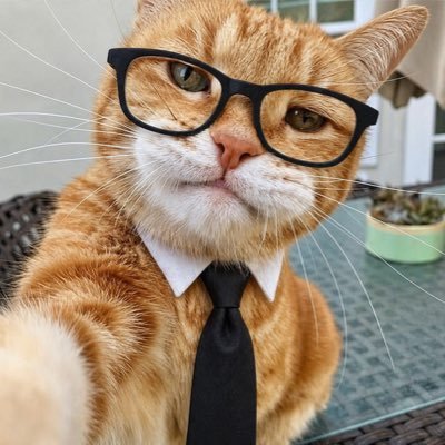 {*BETA*}'s profile picture