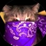 temperowka's profile picture