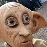 Tramboliko profil fotoğrafı