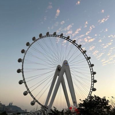 Miko.AI's profile picture