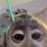 Profilbild von Rafael