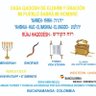 Yom Shalom 77's profile picture