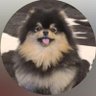 Sana๐ป profil fotoฤrafฤฑ