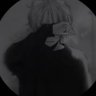 Profilbild von LIVING KING