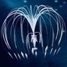 B127mybaby's profile picture