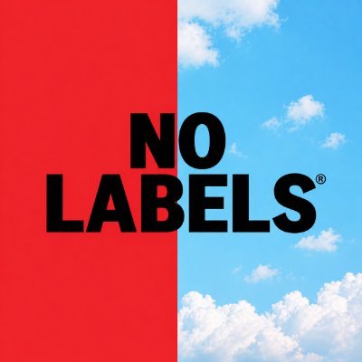No Labels's profile picture