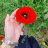 Hayet b profil fotoğrafı