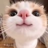 Carola_Bug's profile picture