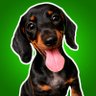 Salsichinhas's profile picture