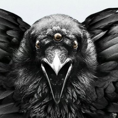 zqinfo's profile picture