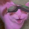 technocat 的头像