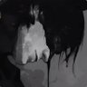 محمد's profile picture