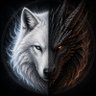 Carfo's profile picture