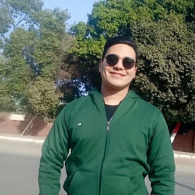 Mahmoud Rashad 🦅's profile picture