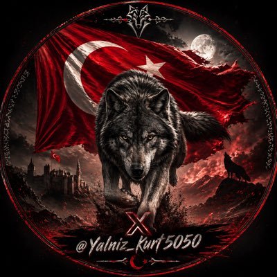 Yalnız Kurt 🇹🇷's profile picture