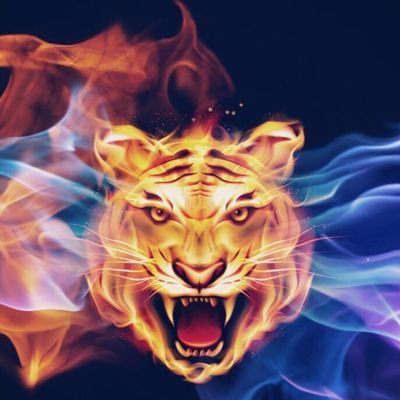 kld009592011619's profile picture
