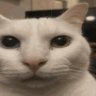Binx ❗️ 的头像