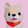 あずき's profile picture