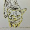 Yutaka's profile picture