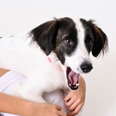 roberta's profile picture