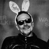Profilbild von joe