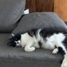 jjjjjjUp profil fotoğrafı