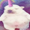 Profilbild von majo