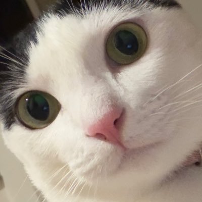 01thisisthis's profile picture