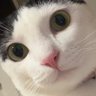 rubymoomoo's profile picture