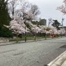 Фото профиля でぶトトロ