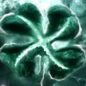 Profilbild von AverageJoe122๐