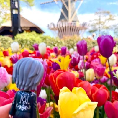 Yuririririnnnn's profile picture