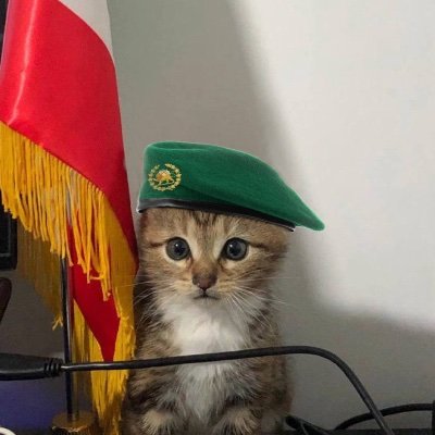 amirthedracula's profile picture