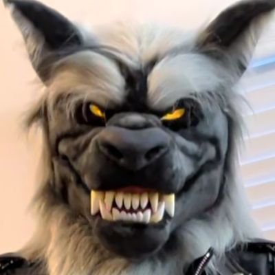 Valnos Floofdog's profile picture