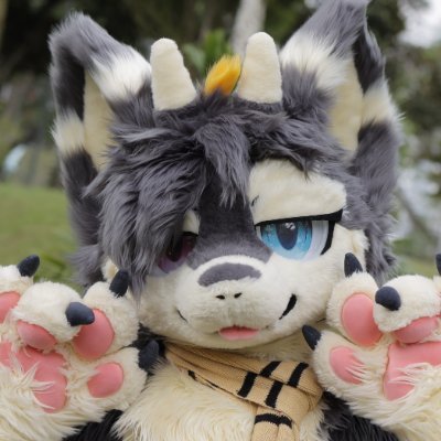 🐉のりそば 海苔龙 Norisoba🐉's profile picture